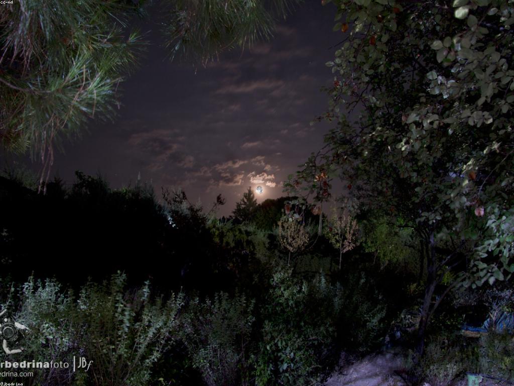 កំរងការប្រកួត: ការប្រកួតសំខាន់ៗក្នុងជីវិត