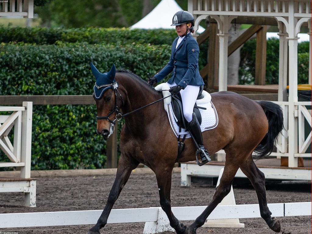 យុទ្ធសាស្ត្រសម្រាប់ការប្រកួត